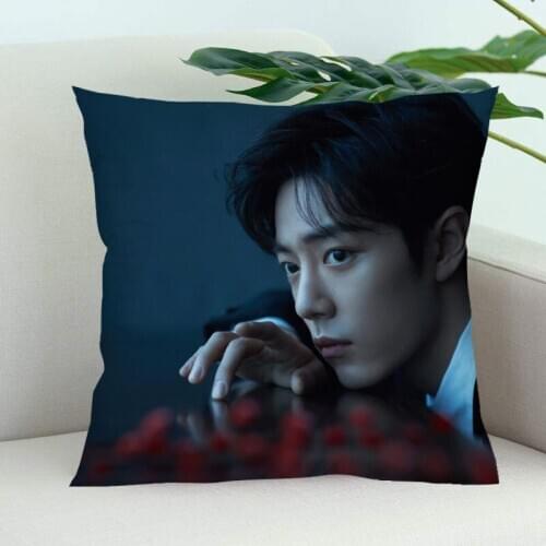 Sean Xiao Pillow Cover Bedroom Home Office Decorative Pillowcase Square Zipper Pillow Cases Satin Soft
