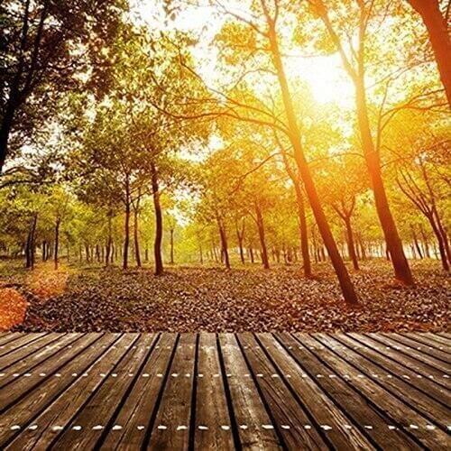 5x7ft Autumn sunshine photography backdrop background printed with wood floor and forest photo studio wallpaper