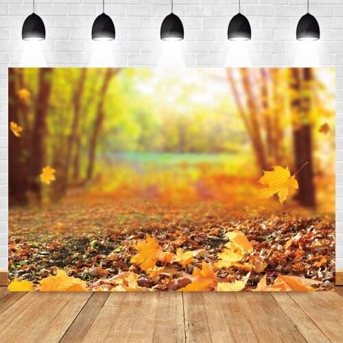 Yeele Virtual Scene Background Baby Photocall Photography Yellow Fallen Leaves Autumn Grassland Backdrop Photo Studio Photophone