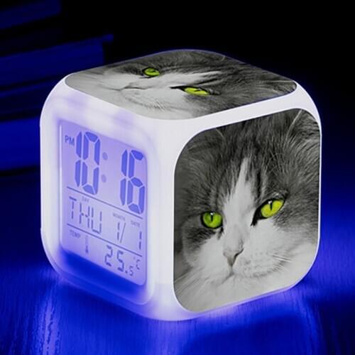 Cute Animal Cat Squinting Surrounding Colorful Square Alarm Clock Small Alarm Clock (2 Batteries AG13)