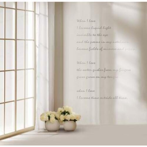 TR sunshine white window camera fotografica background wedding photo backdrop newborn baby backgrounds for photo studio props