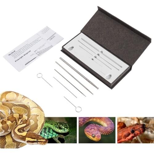 6 Pcs Professional Snake Gender Detector Probe Reptile Gender Detection Toy