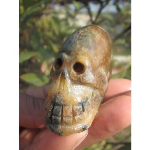 83g natural quartz crystal snail fossil skull healing carving A1