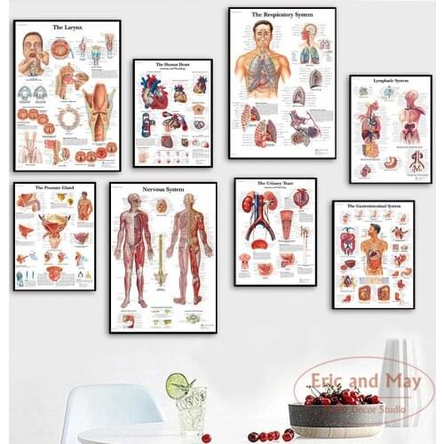 Human Anatomy Muscles System Poster And Print Wall Art Canvas Painting Pictures Hot Modern Style Living Room Decoration Plakat