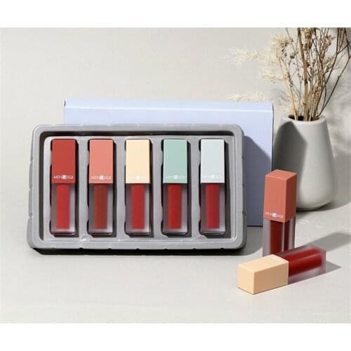 5Pcs/Set Liquid Lipstick Set Lip Gloss Makeup High Pigment Lip Gloss Waterproof Lasting Moisturizing Lips Glaze Cosmetics TSLM1