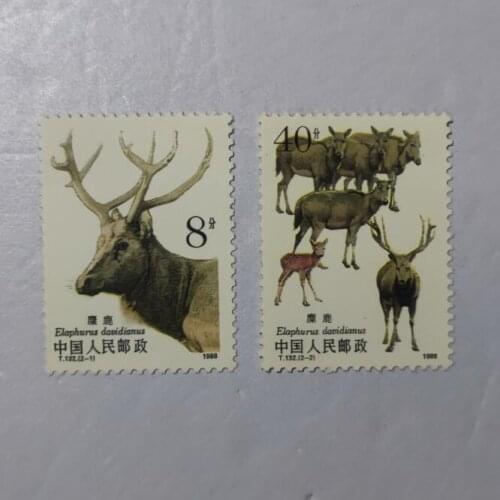 T 132 Elk， China Post Stamps Postage Collection