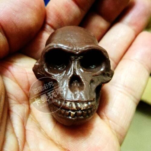 Pvc figure ape skull model toy