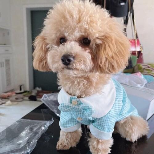 Dog Shirt Summer Small Dogs Clothes Cat Costumes Puppy Outfit Apparel Yorkies Corgi Pomeranian Bichon Poodle Schnauzer Clothing