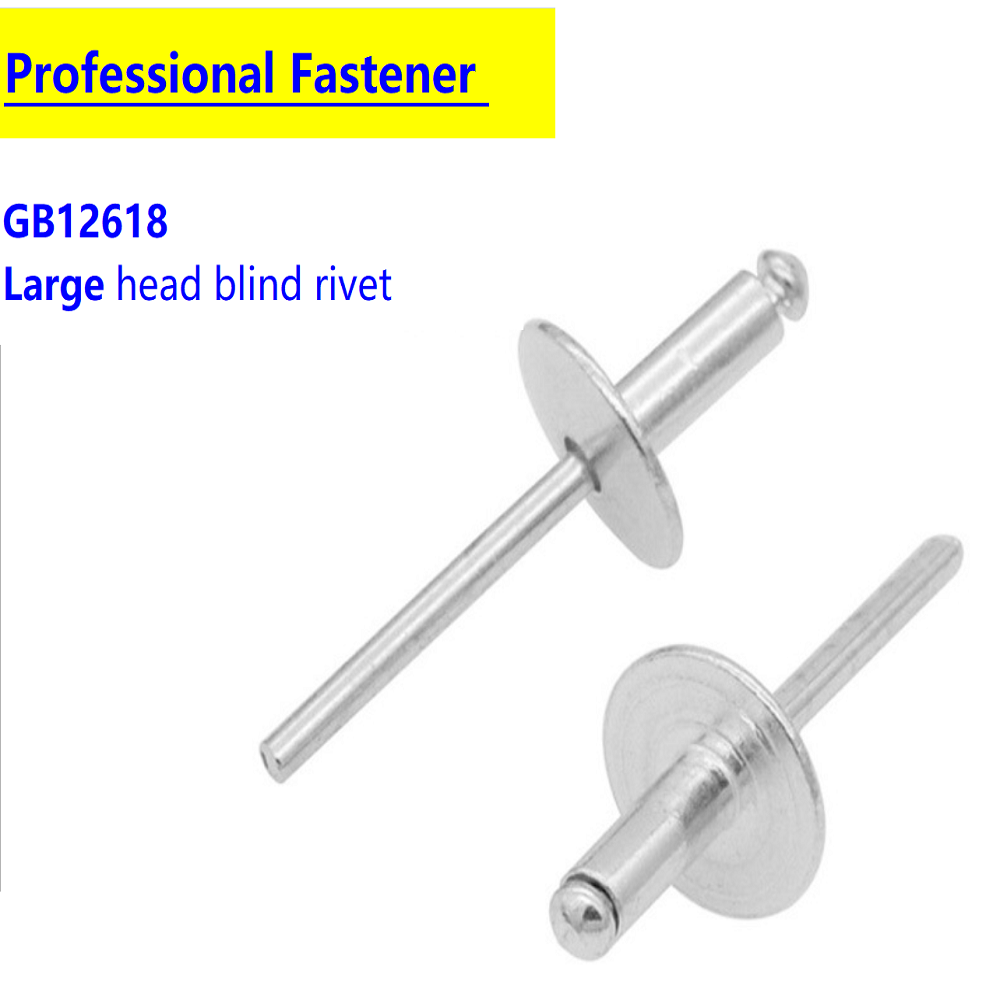 M4.8 3/16 Large Flange Aluminium Steel Dome Head Break Mandrel Blind Rivets Nail Pop Remaches rebites 20pcs/set заклепочник