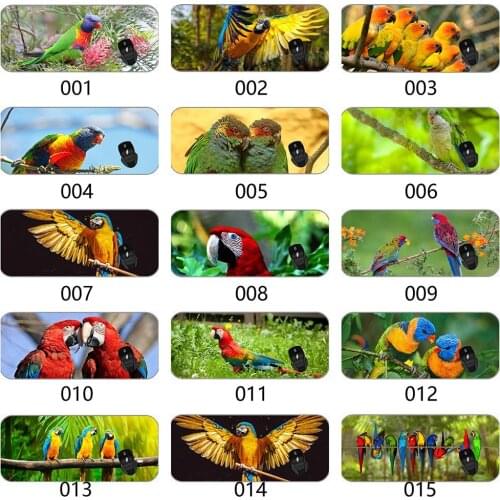 Long Extended Mousepad Desk Pad Animal Parrot Bird Yellow Gaming Mouse Pad Large