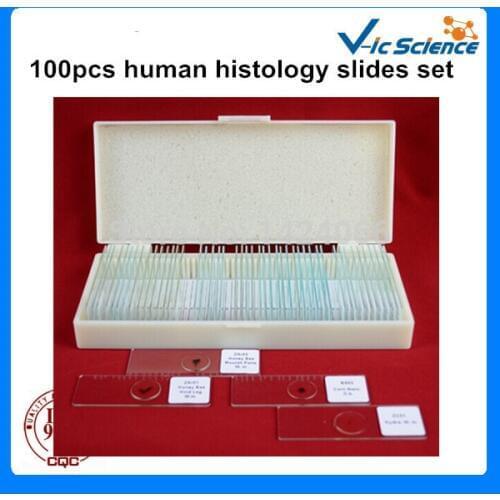 Medical type 100pcs human histology slides set
