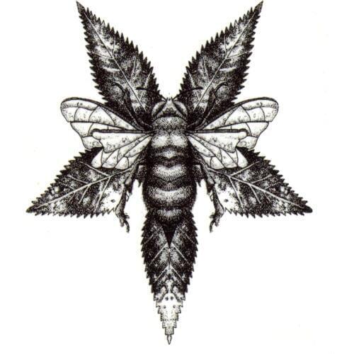 Honey Bee In The Honey Waterproof Temporary Tattoo Men Woman tattoo Sleeve Tatoo harajuku henna tattoo kids tatouage temporaire