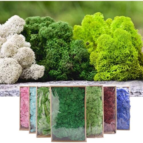 Eelhoe Artificial Plants