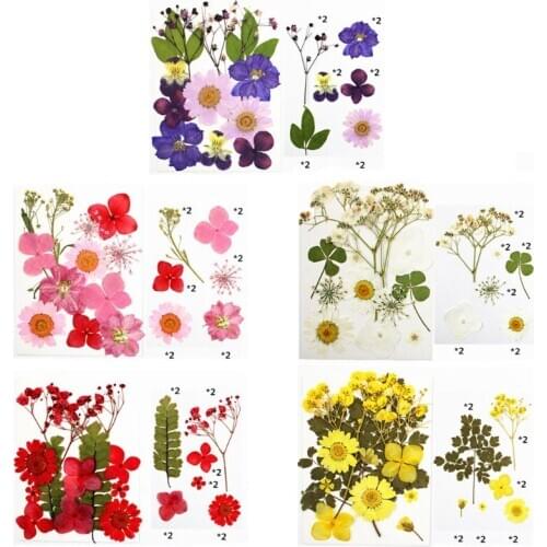 12Pcs Pressed Dried Flowers for Resin Natural Dried Flower Herbs kit for Resin Jewelry Making Soap and Candle Making