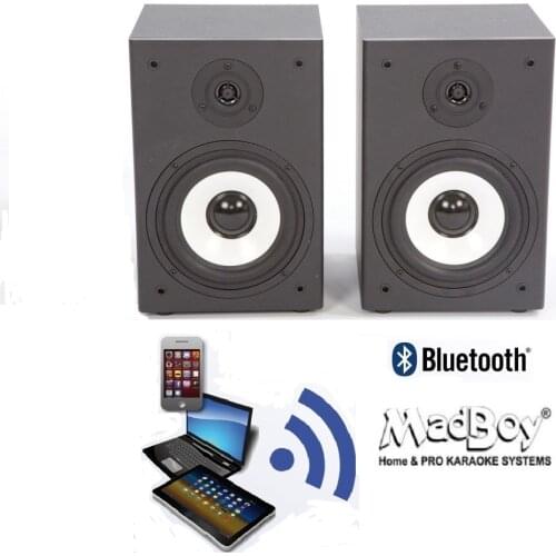 MadBoy Audio Speakers