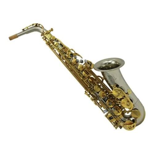 MARGEWATE Alto Saxophone Eb Tune Brass Plated Gold Lacquered Keys Professional musical instrument With Case Free Shipping