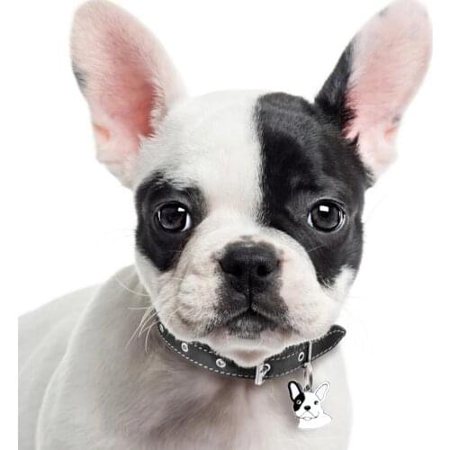 1pc French Bulldog Enamel dog tags pendant hang charms dangle charms DIY making can fit pet collar