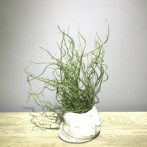 7pcs Artificial Leaves Green Water Plants Plastic Grass Bush Dragon Onion Grass European Style Home Decor Fish Tank