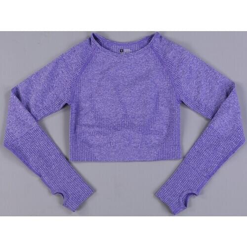 2020 New Seamless Yoga Shirts Crop Top Long Sleeves Shirts For Women Yoga Sports Fitness Gym Cloth Workout Tops Sports Shirts