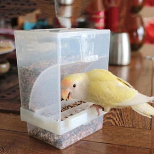 Hot Sale 1pc Small Size Bird Poultry Feeder Automatic Acrylic Food Container Parrot Pigeon Splash Proof 10x12x7.5CM