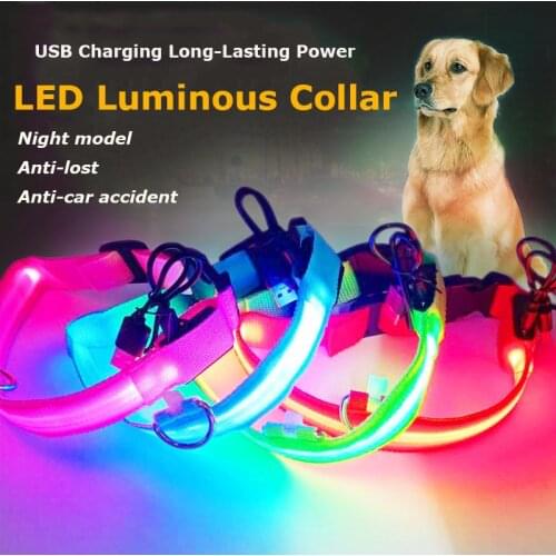 Adjustable USB Charging Pet Dog Collar Rechargeable LED Flashing Night Dog Collars XS-XL Glowing Luminous Safety Pets Collar