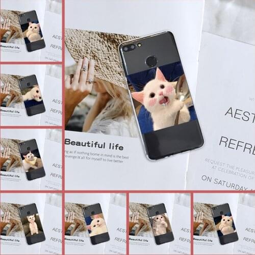 Kawaii Cat Cute Animal Phone Case Silicone For Huawei Y5 Y6 Y7 Prime 2018 Y9 2019 Back Cover For Huawei Y3 Y5 Y6 Y7 2017 II Pro
