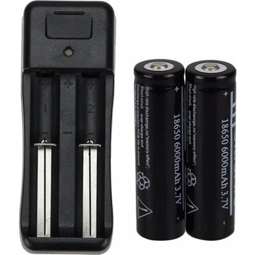 Recharging pile li-ion gtf, 2 parts, 18650, 6000mah, 3.7v + battery charger eu