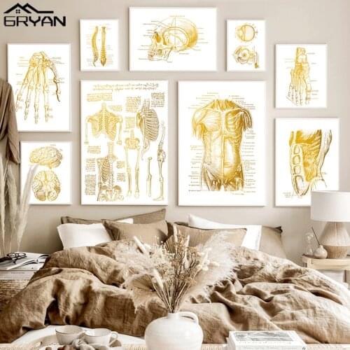 Golden Human Anatomy Skull Body Skeleton Canvas Posters & Prints Vertebra Muscle Organ Medical Painting Nordic Picture Wall Art
