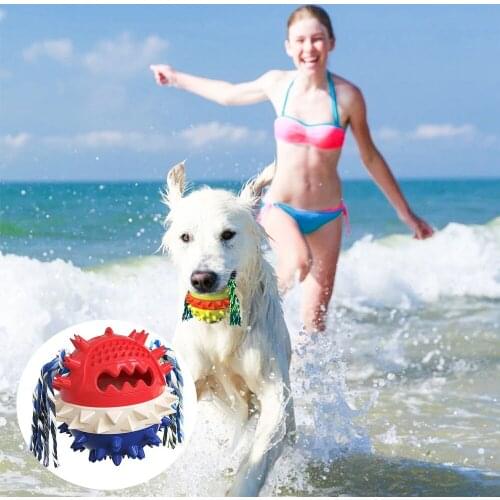2021 New Pet Dog Ball Squeaky Float Toy Balls with Toothbrush Shaped To Clean Teeth Interactive Toy for Dogs Dog Accessories