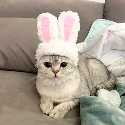 2021 Funny Pet Headdress Cat Bunny Teddy Headgear Pets Hat Party Costume Cosplay Clothes Easter Props Headwear Pet Products New