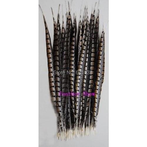 50Pcs/LOT! 16-18inches 40-45cm long Natural Lady Amherst Pheasant Side Tail Feathers,Pheasant Tail Feathers