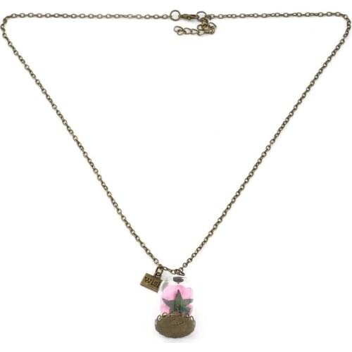 Women Terrarium Glass Bottle Necklace Romantic Dried Flowers Pendant Glass Bronze Long Chain Girls Lady