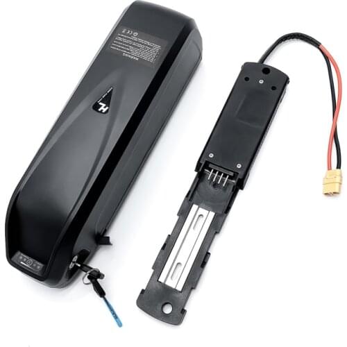 Hailong D2 36V 48V 10AH 13AH 15AH 16AH Electric bike Battery with Charger for Ebike