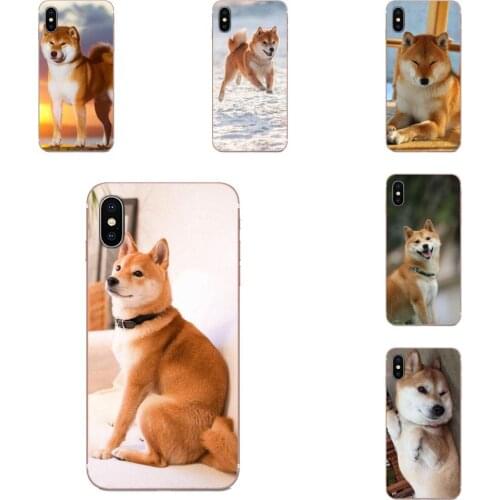 Brushwood Doge Shiba Inu Funny Dog Soft Case Mobile For Huawei Honor 10 10i 20 20i 8S lite Y9 Prime Y7 2019 Y5 2018 p40 lite pro