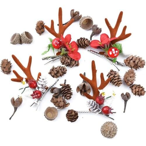 20pcs Natural Dried Plants Pine Cone Acorn Wholesale Artificial Flower For Home Christmas DIY Garland Wreath Wedding Decoration