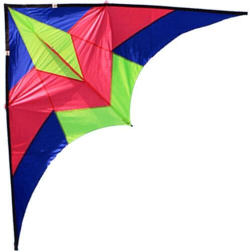 Professional Seagulls Triangle Sport 2.4 m Power Kite With Handle Line High Quality Good Flying