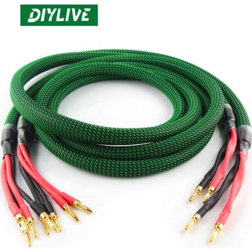 DIYLIVE Hi-Fi The 4-core thick-audio wire McIntosh Fever Horn Line Audio Speaker Line Hi-Bass Double Line Divide Banana Head 2-4