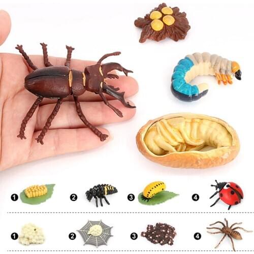 4Pcs Simulation Ladybug Spider Animal Growth Model Educational Toy Kids Gift