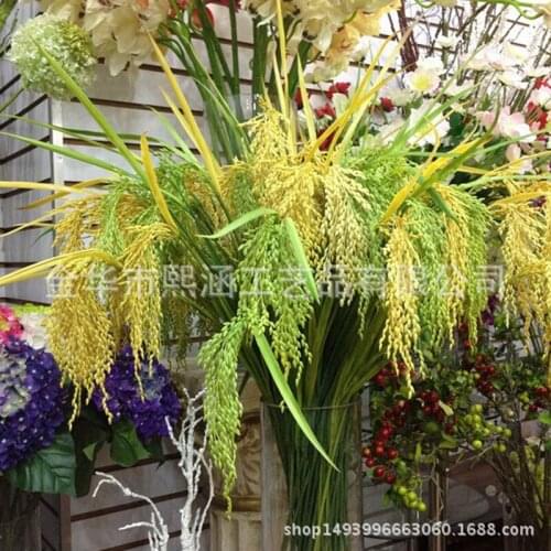 Spike Dried Flowers Bouquet Practice Barley Countryside Decorate Gift Shot Prop Ear Of Rice Farmhouse Dried Flowers