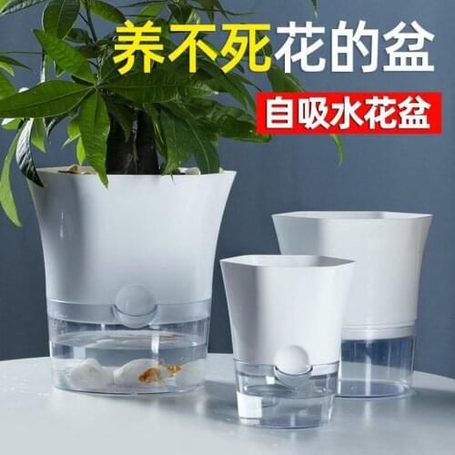 Water Storage Lazy Flowerpot Simple Transparent Potted Plant Fish Flower Symbiosis Indoor Green Pineapple Automatic Water Absorb