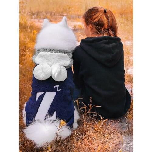 Big Dogs Clothing Winter Clothing Thickened Warm Cotton Padded Outerwear Hoody Apparel Letter Novelty Casual Wear 100% Cotton