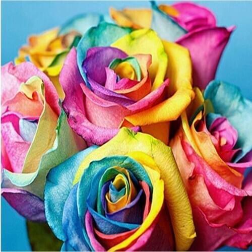 New Circular Stone 5D DIY Diamond Painting Rainbow Rose Diamond Embroidery Sale Scenic Diamond Full Display Love Gift Nederland