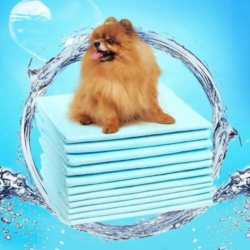 Super Absorbent Pet Diaper Dog Training Pee Pads Disposable Urine Nappy Mat For Cats Dog Diapers Cage Mat Pet Supplies