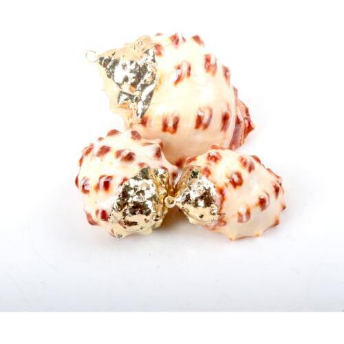Gold plating Aquarium Beach Nautical DIY conch Colorful Natural Seashells Decorations Scallop conch Crafts Decor Ornament 5Pcs