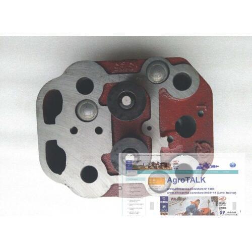 Cylinder head assembly with gasket for Hebei tractor with Tuojiang engine195-B