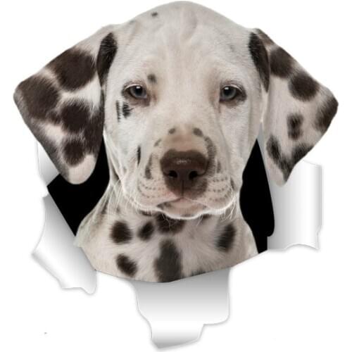 Three Ratels 3D Dalmatian Dog Stickers Super Staffie decal on Wall Fridge Toilet car bike