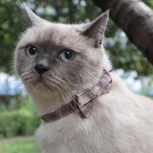 Bowtie Cat Collar Breakaway with Bell Classic Plaid Adjustable Safety Kitten Collars for Pet and Puppies from 7.8~10.2 Inch