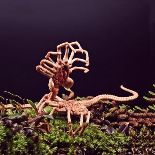 1/6 Scale Alien Predator Chestburster Facehugger Model For 12 inches Action Figure Accessory