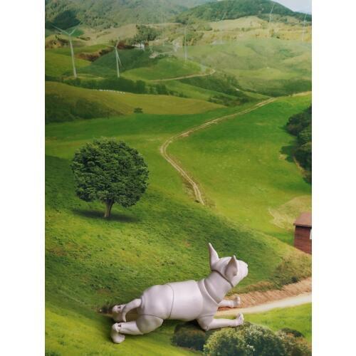 Bull dog puppy 6 points bjd sd doll doll cute pet free eyes