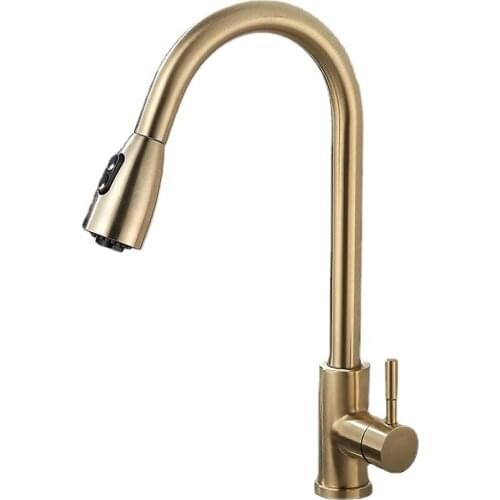 Nordic Brushed Gold 304 Stainless Steel Hot and Cold Kitchen Sink Water Purifier Faucet Light Luxury Gold